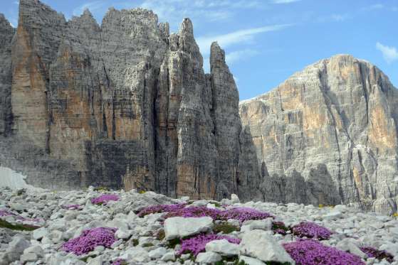 Trentino Dolomiti Trekking