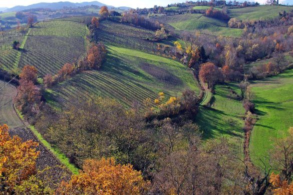 Biologico Romagna