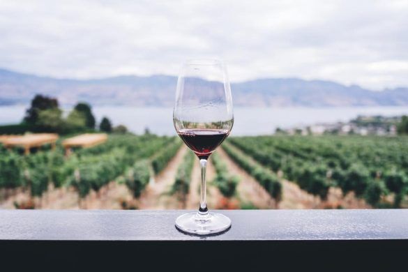Vino Calice