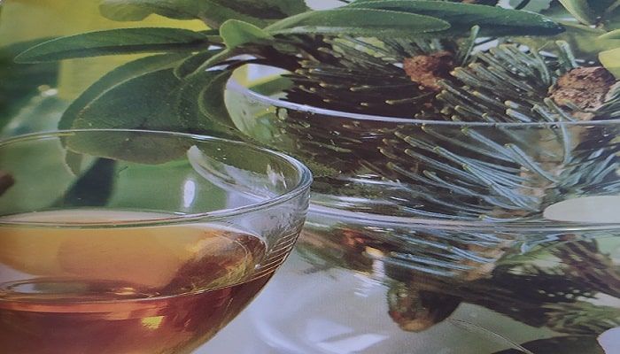 Ricetta del vino contro la tosse e digestivo