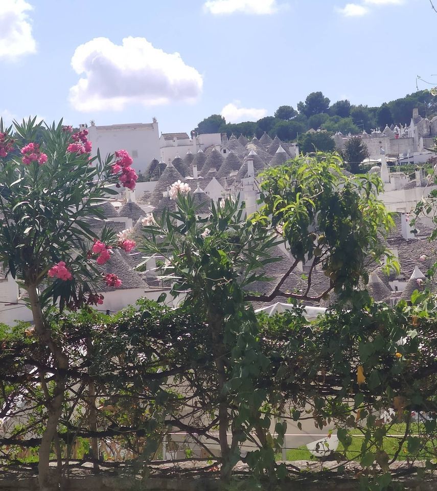 Belvedere Di Alberobello