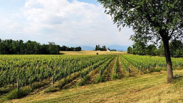 Capriano Al Colle Cosa Vedere Min