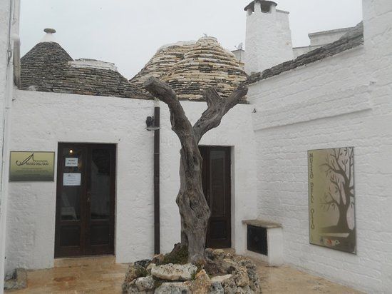 Museo Dellolio Alberobello Min