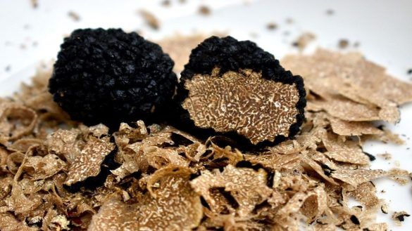 Tartufo Acquistare Tartufi Online Min