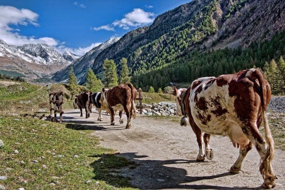 Panorama Valle D'aosta Cosa Vedere Min