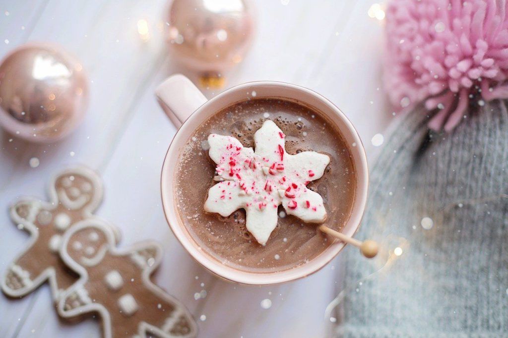 Biscotti Allo Zenzero Con cioccolata Calda 