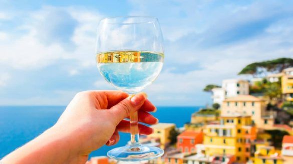 un viaggio tra i migliori vini siciliani alla scoperta del territorio e dei vitigni dell’isola