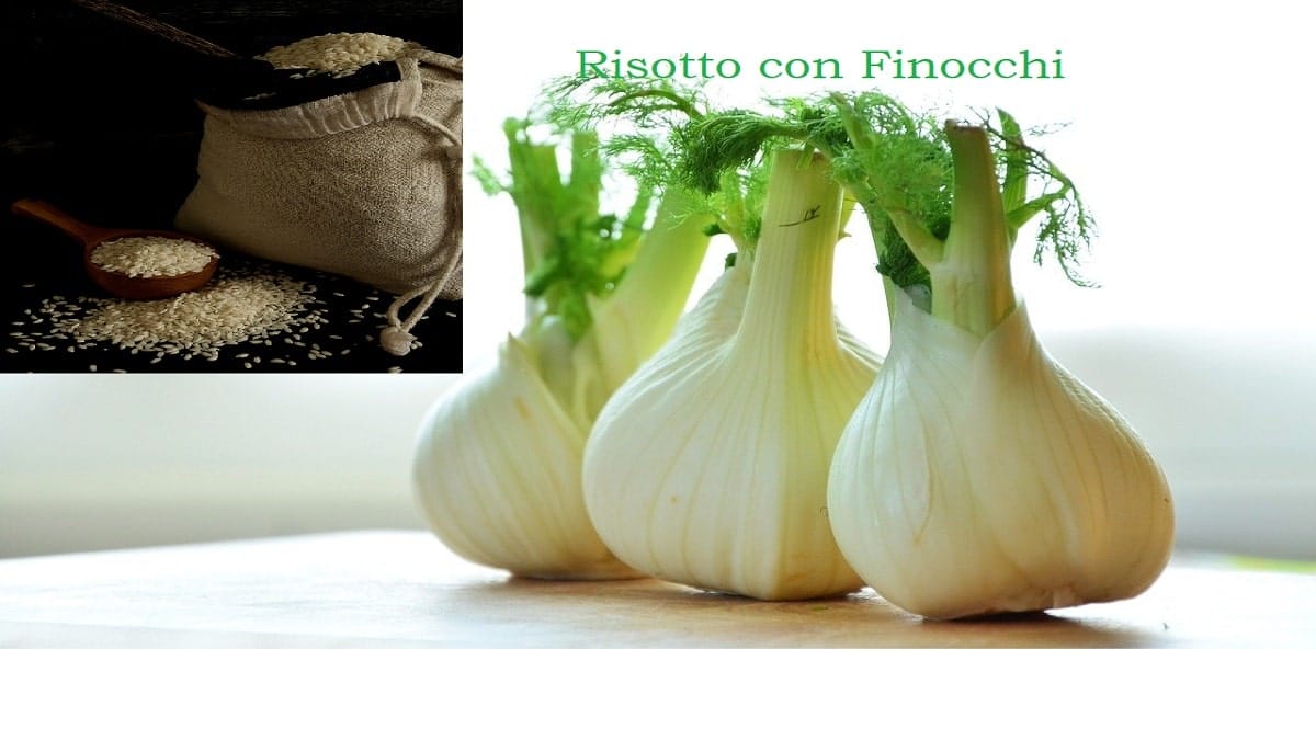 Risotto ai finocchi, un piatto salutare e semplicissimo - Wine and Food Tour