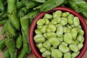 Fava dei Campi Flegrei Vuttulana