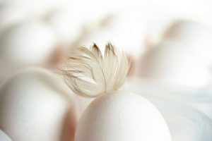 Uovo e simbologia credenze nelle varie culture