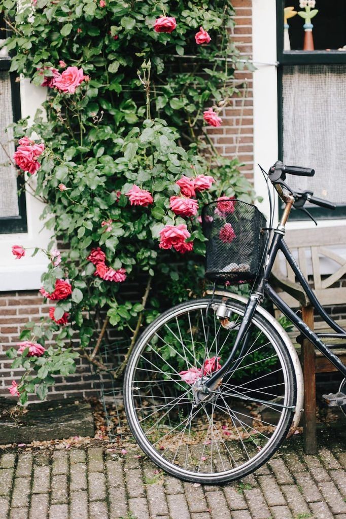 amsterdam in bicicletta