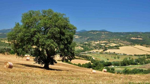 luoghi piu belli della Maremma compressed