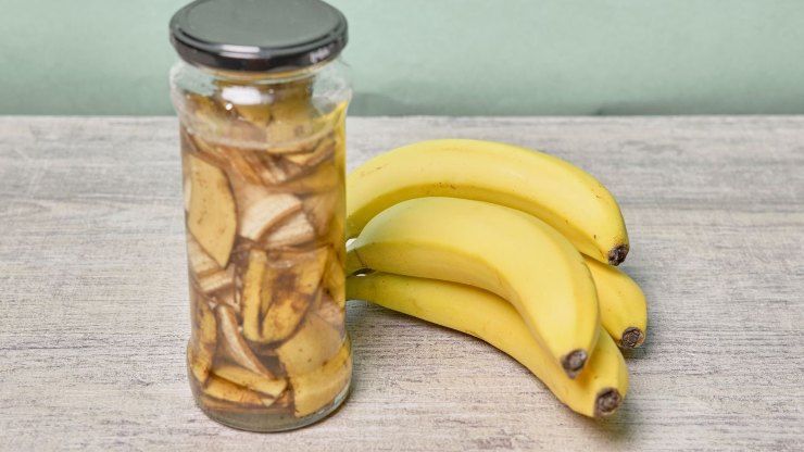 Barattolo con bucce di banana