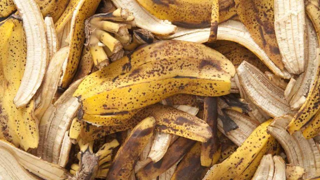 Bucce di banana conservate