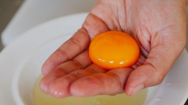 Tuorlo d'uovo arancione