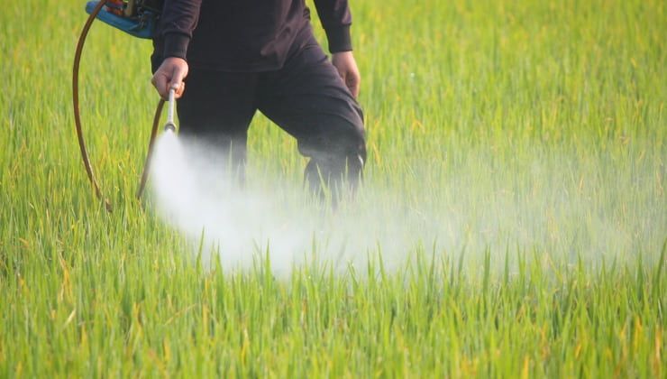 agricoltore spruzza pesticidi