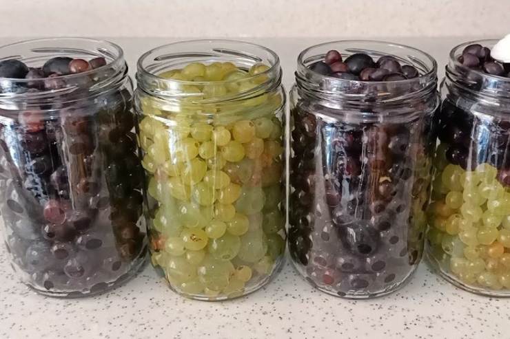Varie tipologie di uva