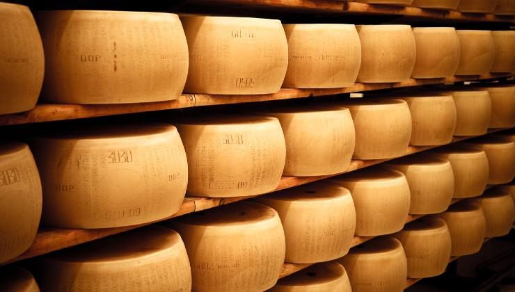 Forme di parmigiano reggiano e Grana Padano 