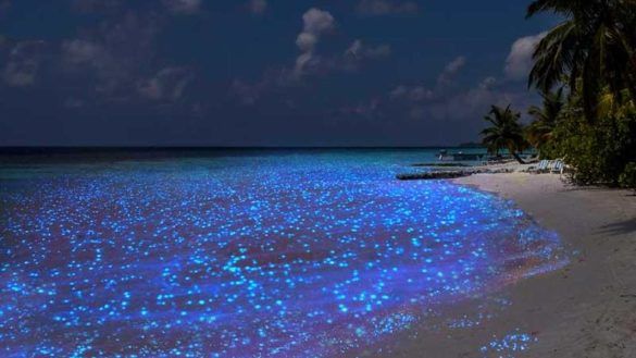 Mare di stelle dell'Isola di Vaadhoo