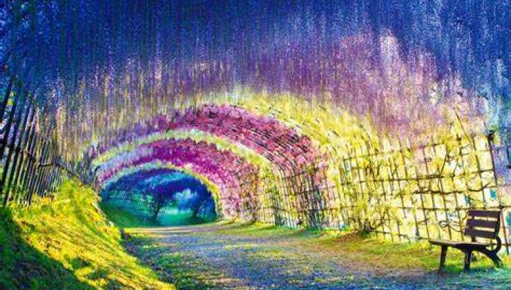Il tunnel più bello del Giappone 