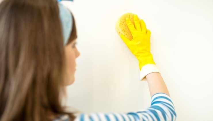 Igienizzare i muri