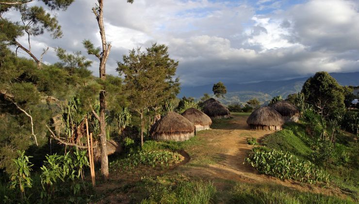 Papua Nuova Guinea aereo ritrovato 30 anni dopo