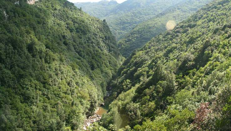 Parco nazionale cilento