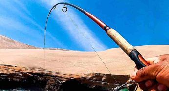 Durante la pesca accade qualcosa di imprevedibile: ecco cosa abbocca all’amo