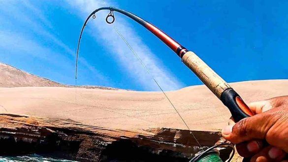Pesca imprevedibile abbocca all'amo