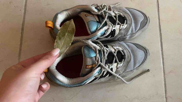 alloro nelle scarpe