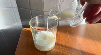 Con questa bevanda perderai peso in un batter d’occhio: bastano due ingredienti