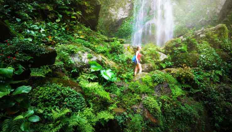 Ecoturismo, quando come e perchè nasce 