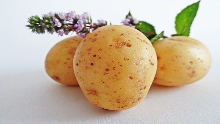 Patate con rosmarino in fiore