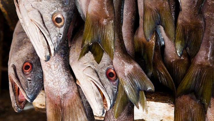 Pesce: come cucinarlo senza doverlo friggere