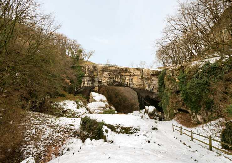 ponte naturale veja