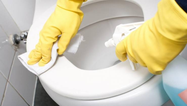 Tavoletta WC: come pulirla