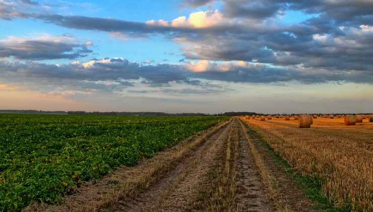 terreni agricoli 