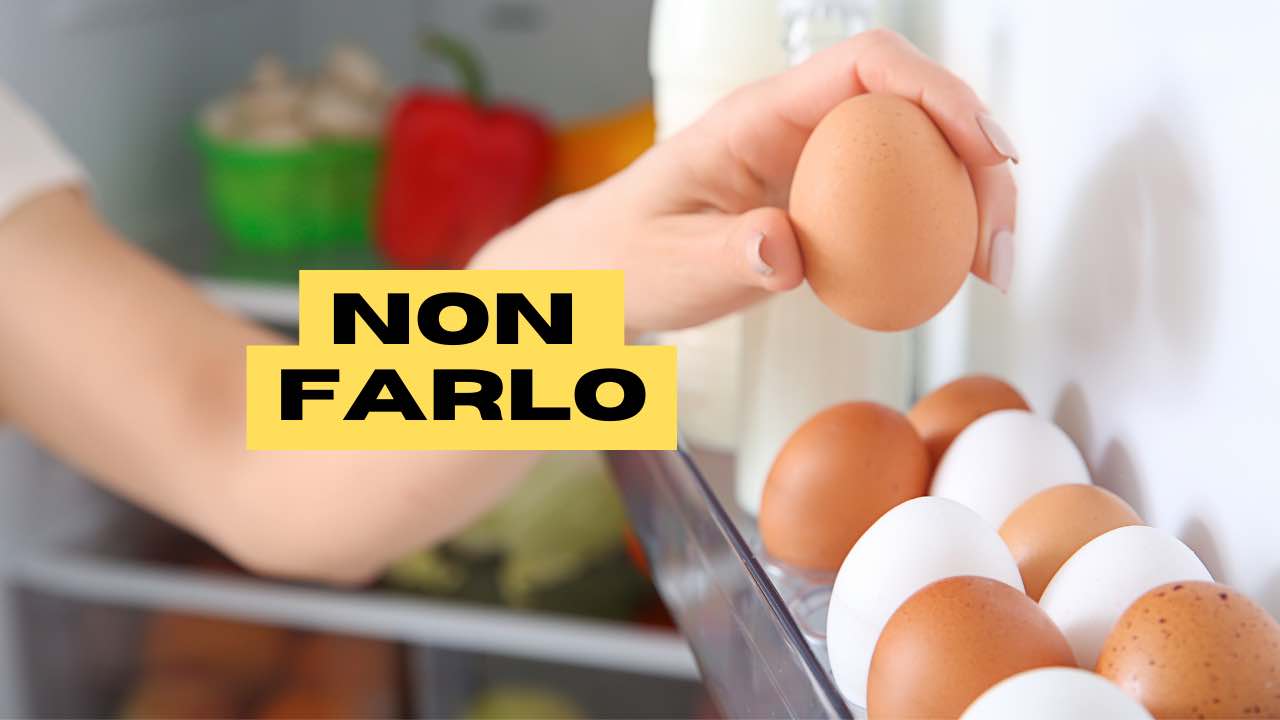 Uova, mai conservarle nello sportello del frigo: perché hai sempre sbagliato