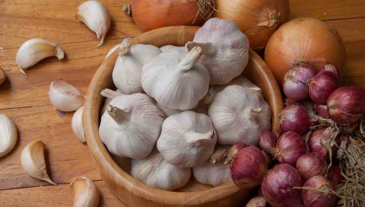 Grow garlic and onion at home
