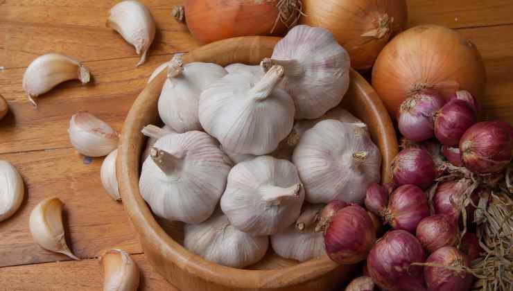 Coltivare aglio e cipolla in casa