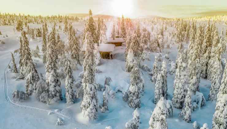 Finlandia viaggio gratis