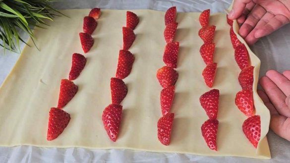 Fragole
