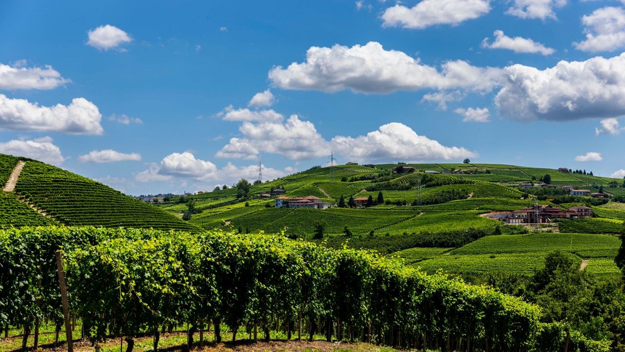 Langhe e Roero