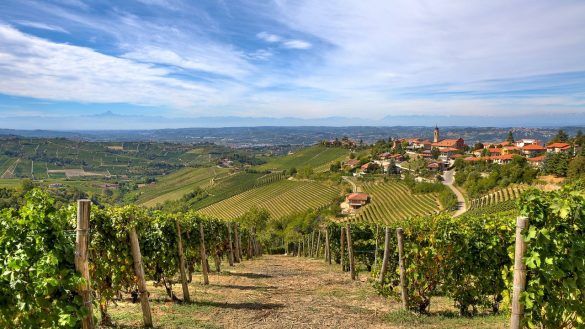 Langhe e Roero