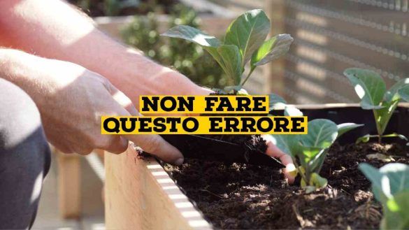 Orto sul balcone
