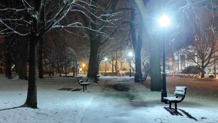Parco notte città fredda