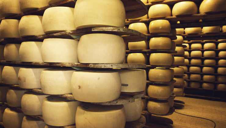 Parmigiano Reggiano