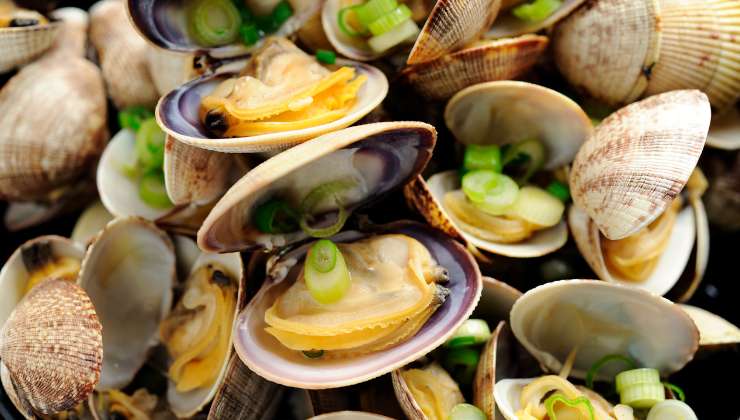 Vongole