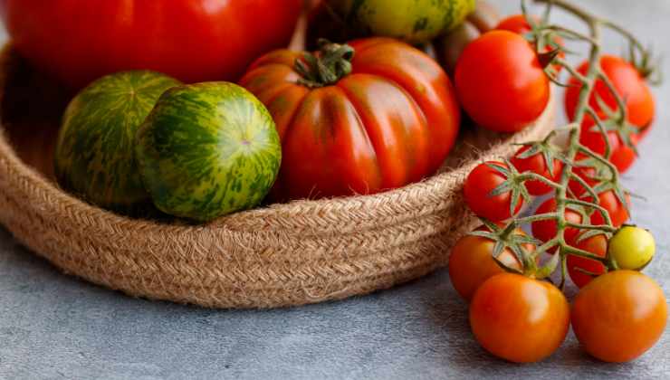 Types de tomates