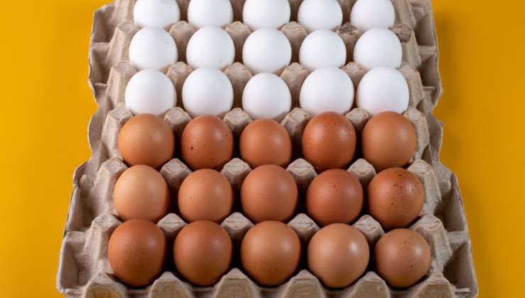 Tipologie di uova